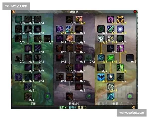 魔兽世界怀旧服：毛治疗奶德，探索最强恢复之道